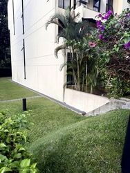 The Draycott (D10), Apartment #559176731